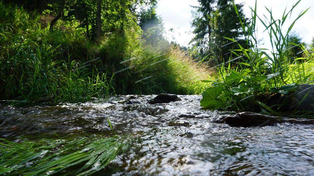 Hotel Beck Lauscha Zewnętrze zdjęcie