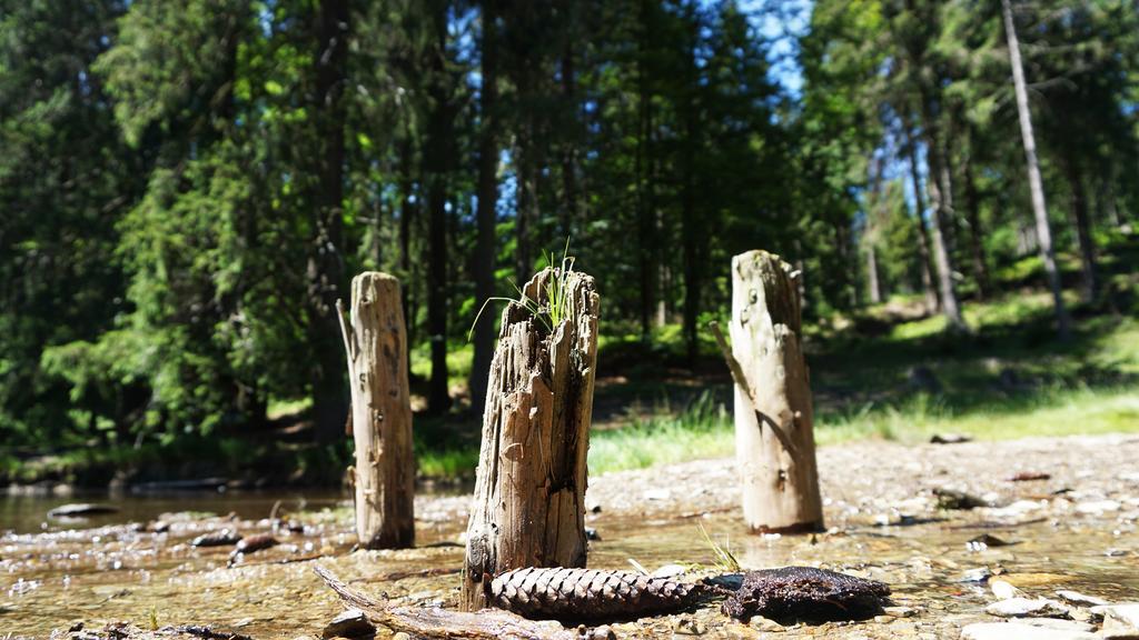 Hotel Beck Lauscha Zewnętrze zdjęcie