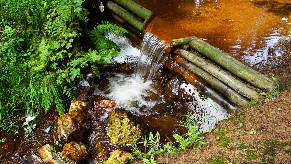 Hotel Beck Lauscha Zewnętrze zdjęcie