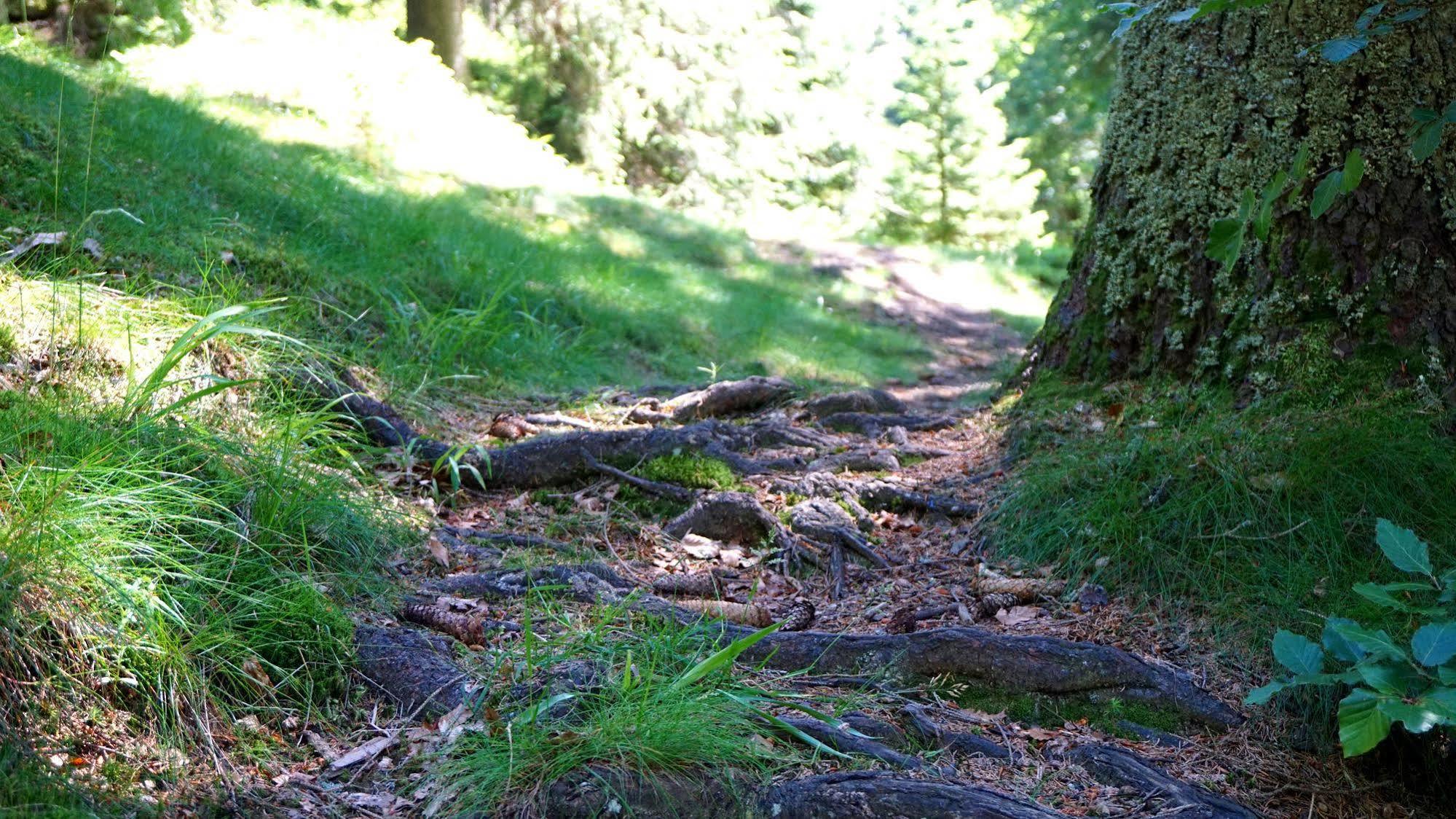 Hotel Beck Lauscha Zewnętrze zdjęcie